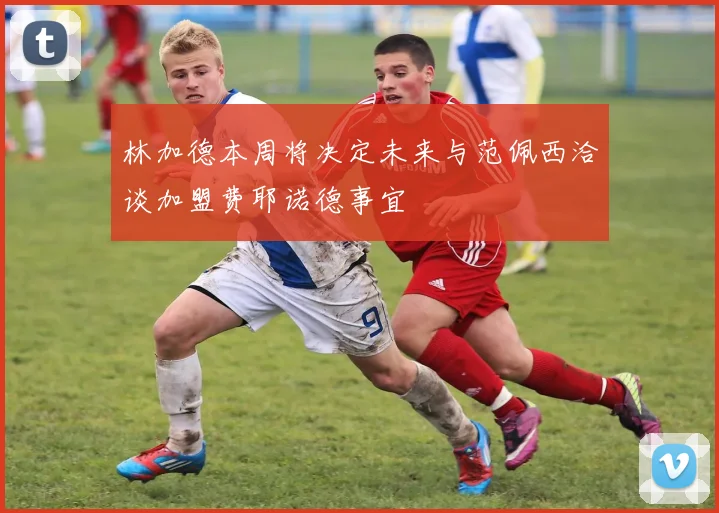 林加德本周将决定未来与范佩西洽谈加盟费耶诺德事宜
