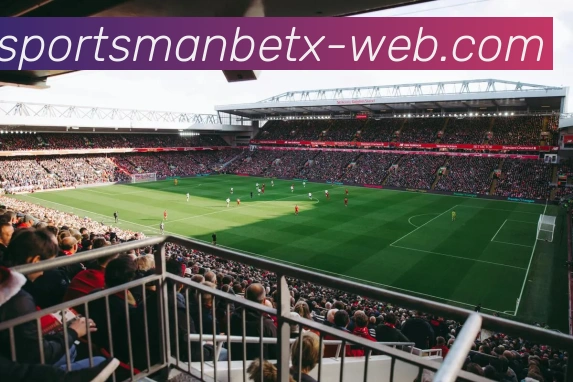 万博体育平台生态图